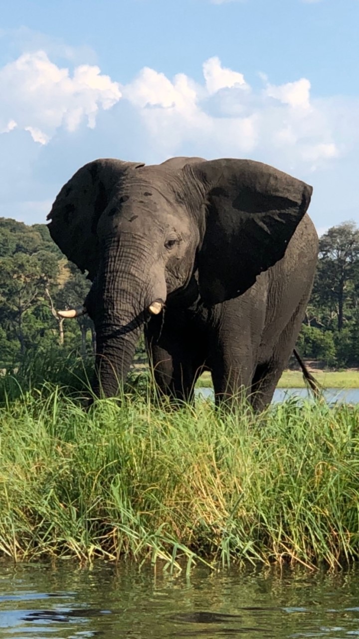 ✈️アフリカ旅行チャット✈️byアマゾニアン（海外旅行、バックパッカー、世界一周、ケニア、モロッコなど）