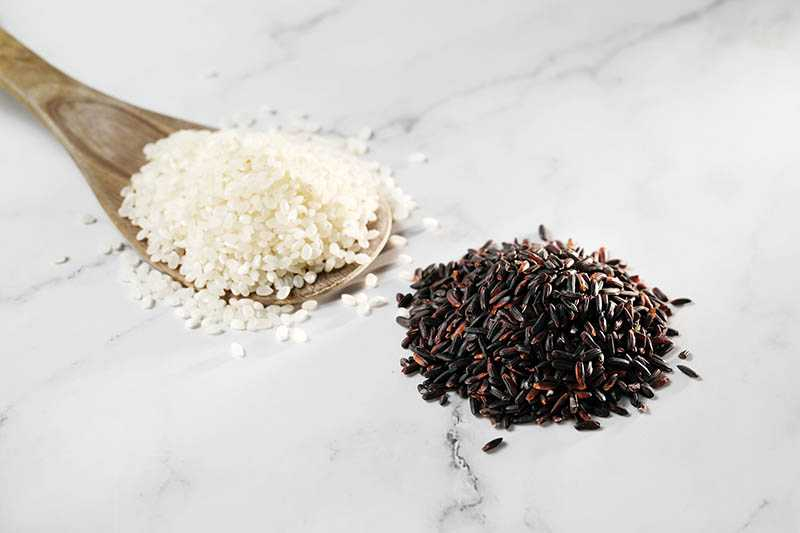 （圖／于魯光）