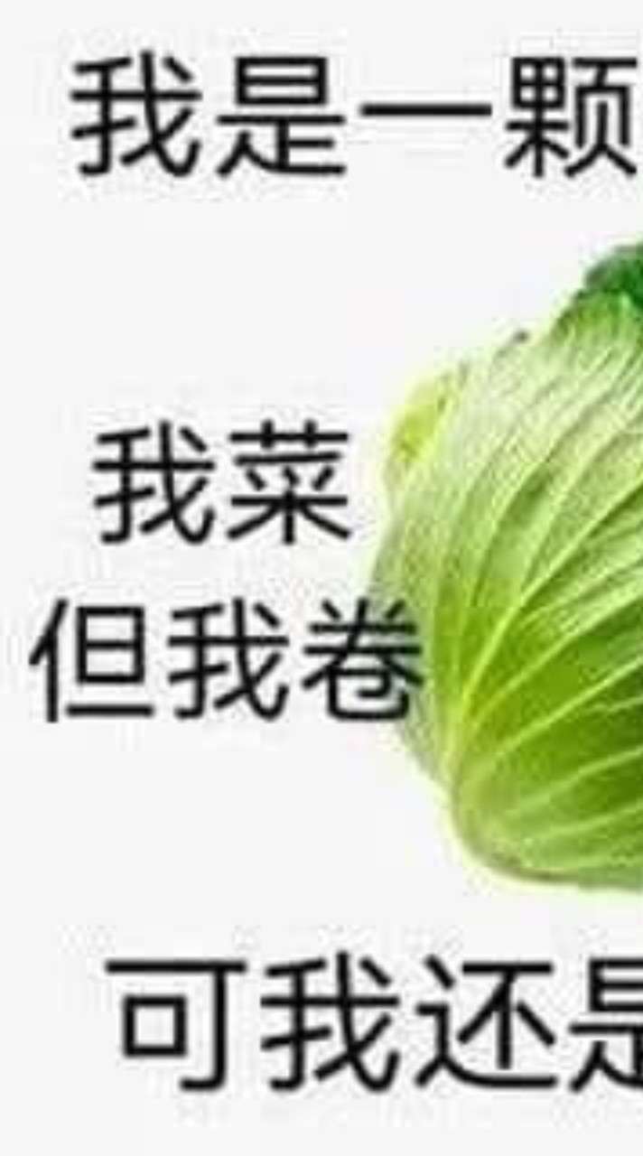 蜀國每天說話的地方