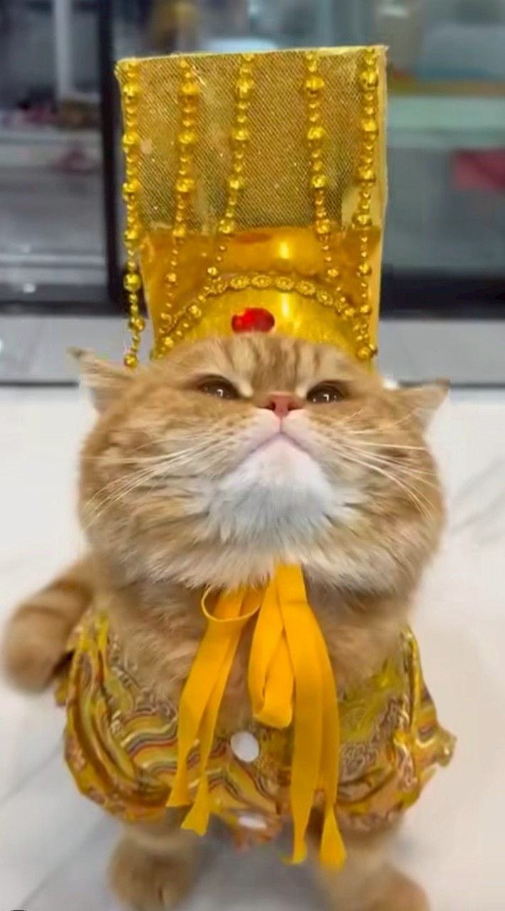 後宮老濕姫