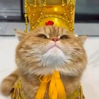 後宮老濕姫