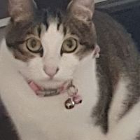 聊什麼都可以