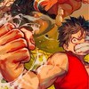 福岡 ワンピースカード 情報共有