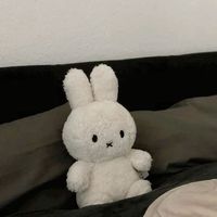 米菲 · 日韓代購⭑.ᐟ