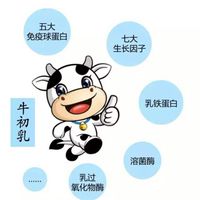 新飛耀初乳團