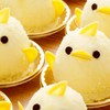 🐤ひよこ🐤初~中級🐤みんなが答える韓国語