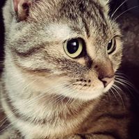 詠心喵😺創業、健康觀念、日用品使用分享平台