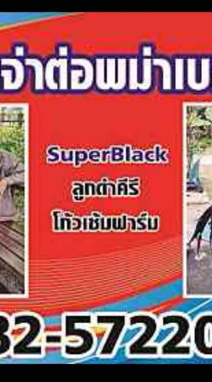 ซุ้มจ่าต่อ🐲พม่าเบอร์แข้ง🐲