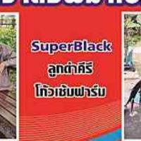ซุ้มจ่าต่อ🐲พม่าเบอร์แข้ง🐲