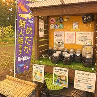 🔰ゆた＆灯月めだか
