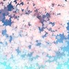 名も無き桜の集まり