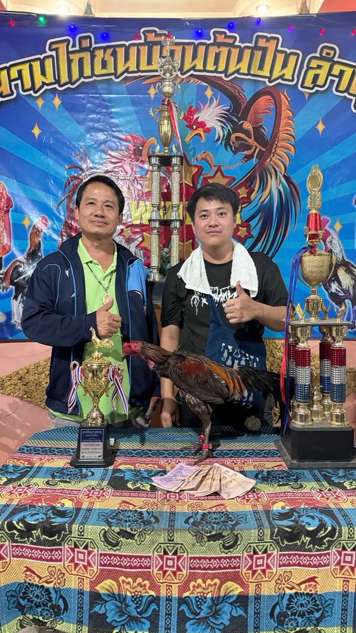 เพชรพญาธรลำพูน