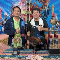 เพชรพญาธรลำพูน