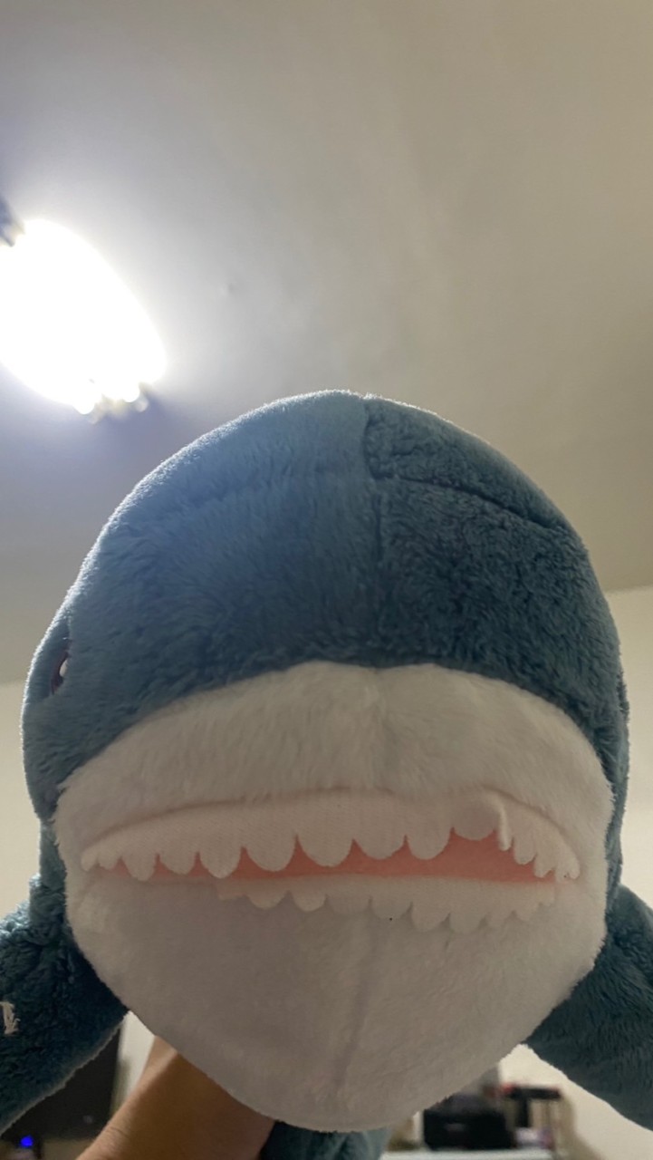 男子漢的浪漫