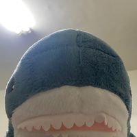 男子漢的浪漫