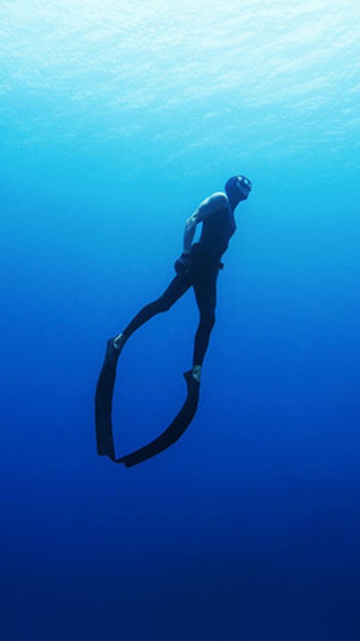 Freedive Thailand สังคมคนดำน้ำฟรีไดฟ์