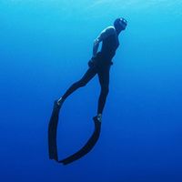 Freedive Thailand สังคมคนดำน้ำฟรีไดฟ์