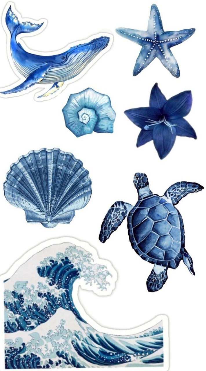 ด้อมชาวฟองสบู่