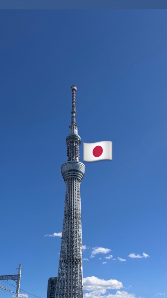 莫妮卡的日本連線代購