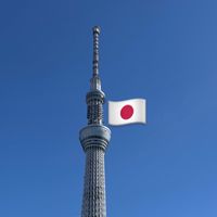 莫妮卡的日本連線代購