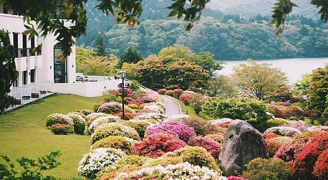 箱根小田急山之飯店杜鵑花庭園與富士山日本關東春末賞花名所 Japankuru日本酷樂 Line Today