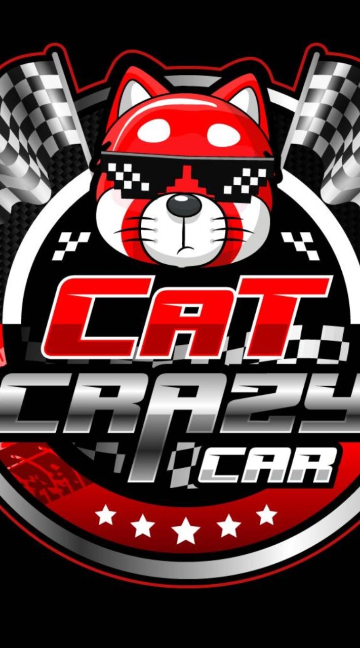 Cat Crazy Car