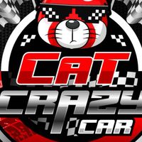 Cat Crazy Car