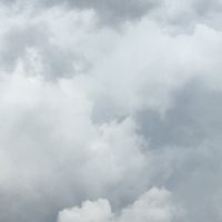 MS365 Sharing