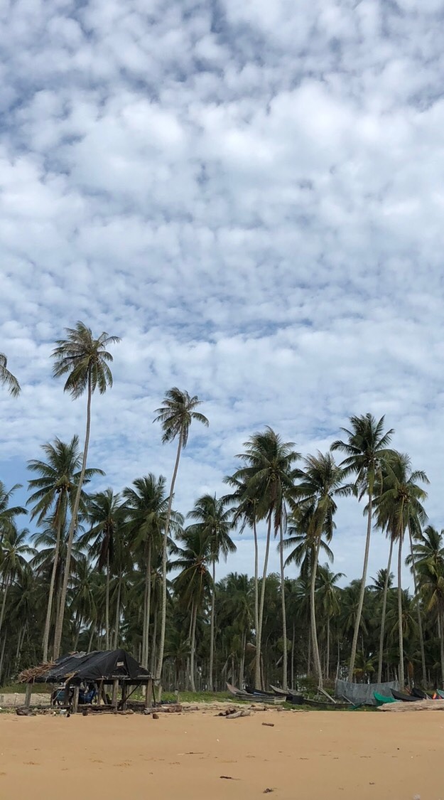 เที่ยวภูเก็ต