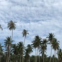 เที่ยวภูเก็ต