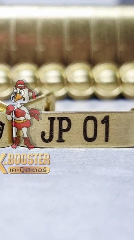 JP🔸ฟาร์ม🐓