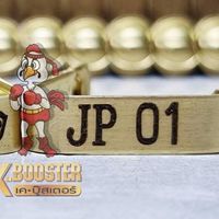 JP🔸ฟาร์ม🐓