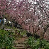 111.3.17~6.30多益暨國際商用聽力及閱讀英文實務班