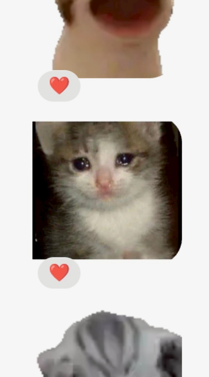 社會功課不會寫