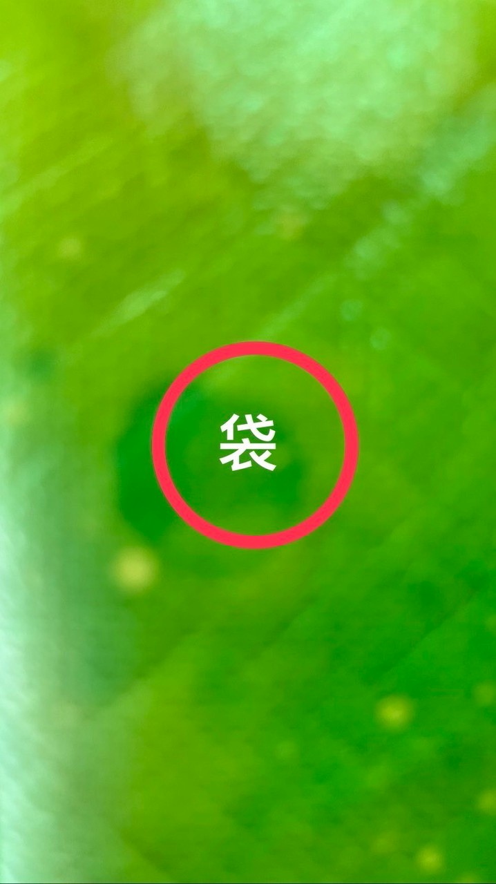 各式袋子