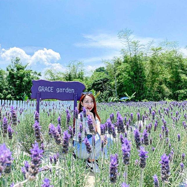 葛瑞絲香草田園區目前免費開放，INSTAGRAM：@chi_yu777