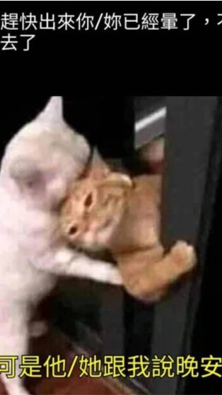 暈船勒戒所