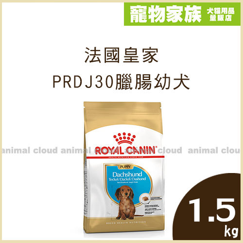 寵物家族-法國皇家PRDJ30臘腸幼犬1.5kg