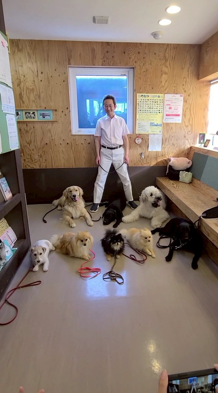 犬育てレッスン会グループ