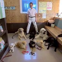 犬育てレッスン会グループ