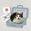 CHAN 韓國代購