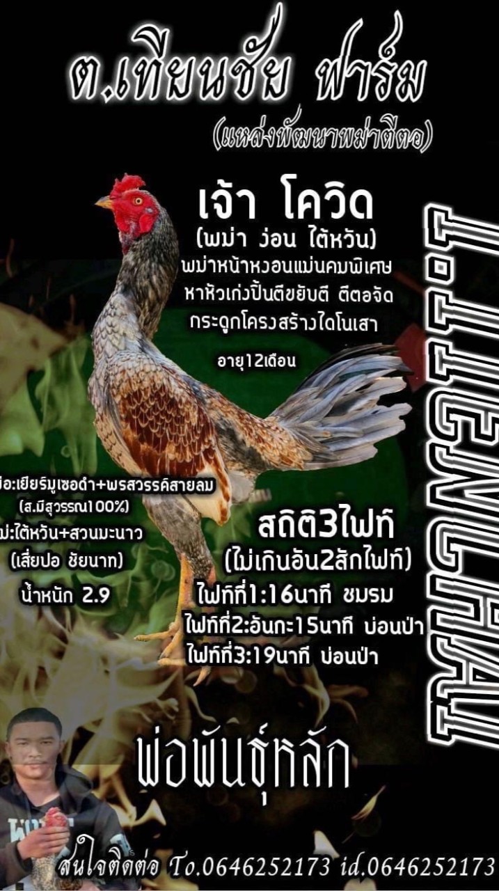 🐓ต.เทียนชัย ฟาร์ม🐓(สังกัด เด็กแสบ)