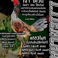 🐓ต.เทียนชัย ฟาร์ม🐓(สังกัด เด็กแสบ)