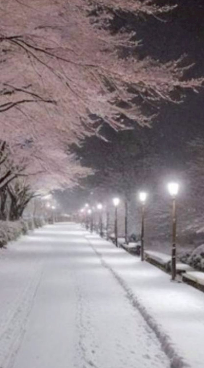 夢絵無償依頼アトリエ