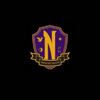 โรงเรียน Nevermore Academy (Wednesday addem)