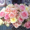 🌹バラ栽培の相談室【病害虫🐝根頭癌腫etc…に悩むロザリアン】