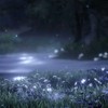 目が合って一撃  .*･ﾟ 全緩也 .ᐟ.ᐟ