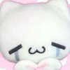 💌ྀི⋆.ดัน˚แอค เมล 🪽₊˚⊹
