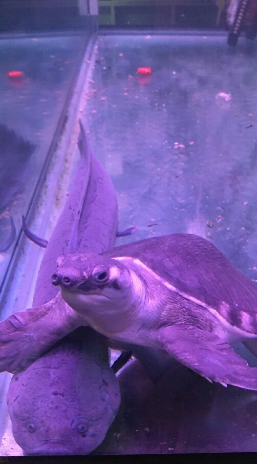 魚兒器材水族俱樂部