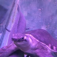 魚兒器材水族俱樂部